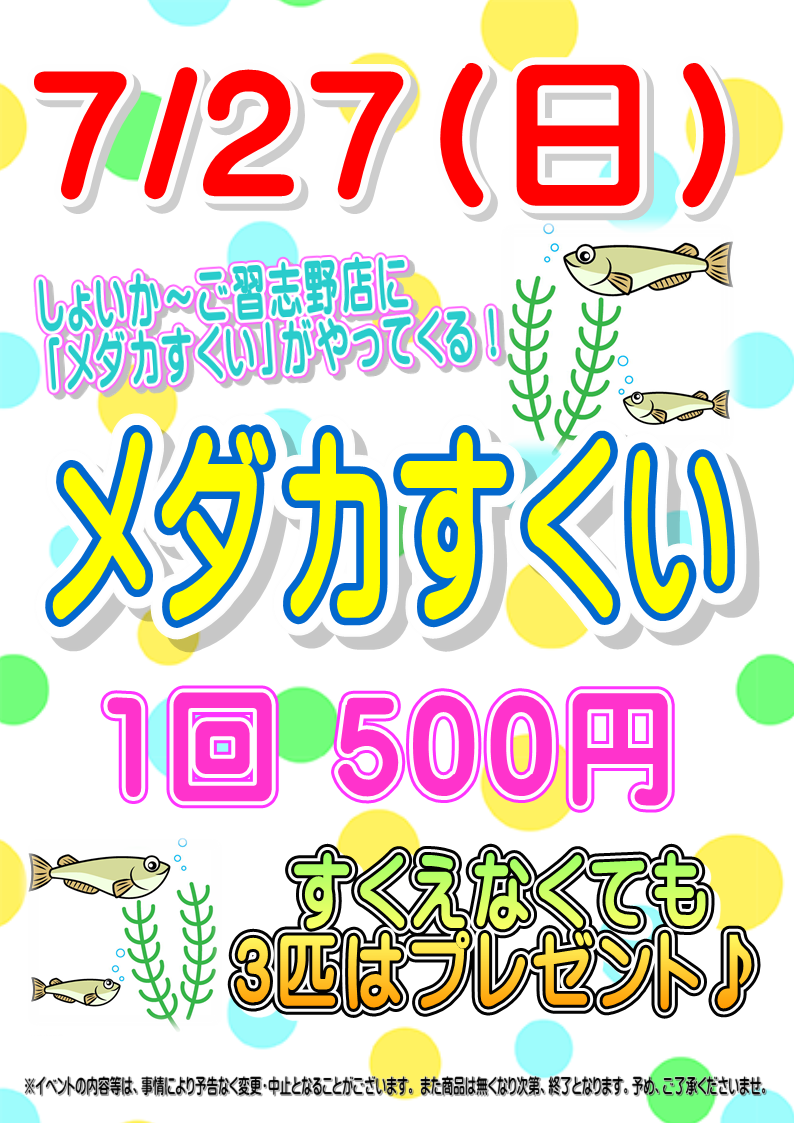 7/27 八街洋蘭園「メダカすくい」久々の開催！！｜新着